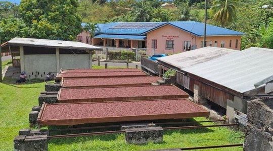 Grenada West Coast Adventure Tour
