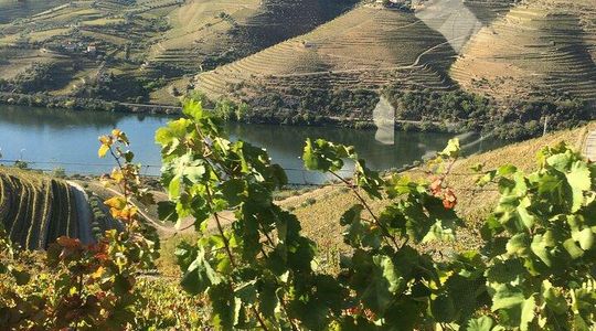 Douro Valley in off road - Private Tour