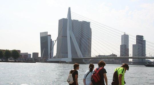 Private Rotterdam Walking Tour - guided by Architects