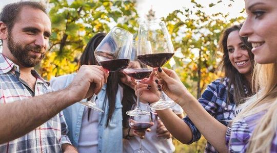 Private Wine Tour from Florence: 3 Wineries & Lunch