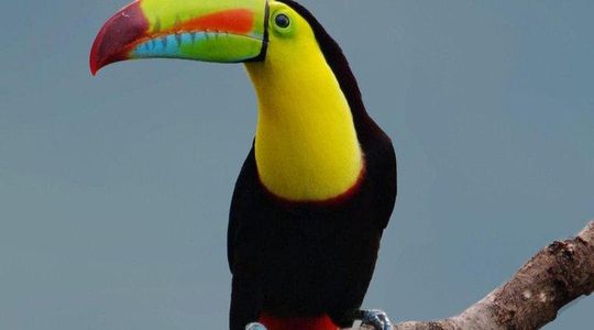 Hiking to Curi-Cancha Reserve