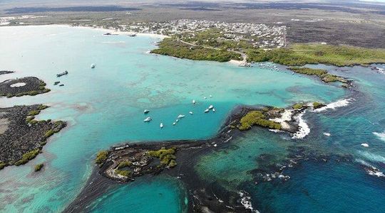 Day Tour to Isabela Island with Tintorera Islet, Snorkeling Wetlands & Flamingos