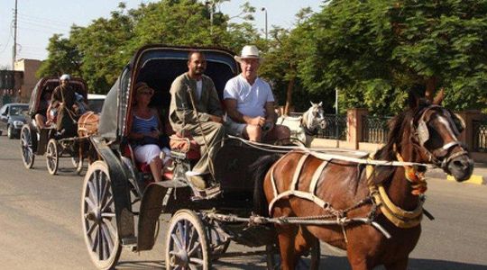 Aswan City Tour By Horse And Carriage