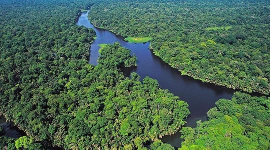 8 Days Nature Lovers in a Costa Rican Gay Tour Program