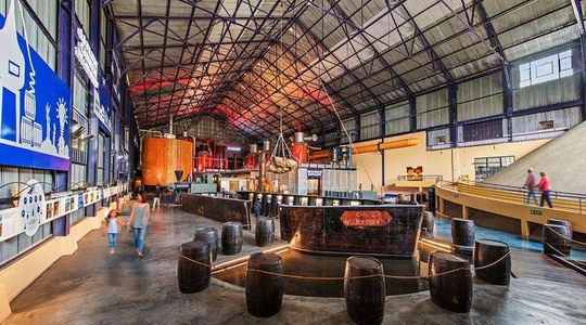 The Sugar Adventure: visit, whole sugars and award-winning rums
