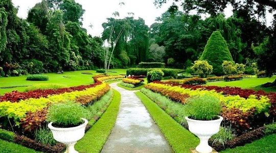 Colonial Tour of Kandy Tea Empire & British History by Tuk Tuk