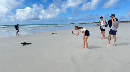 Private Santa Cruz Tour: Tortuga Bay & Charles Darwin Station