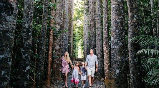 Day Tour to Paronella Park, Lake Barrine and Millaa Millaa Falls