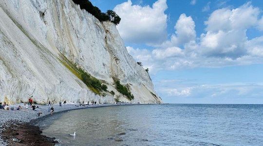 Møns klint and The Forest tower - A day tour from Copenhagen
