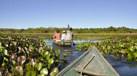4 FASCINATING DAYS! Reservations from 2 people -Chapada Diamantina by Zentur