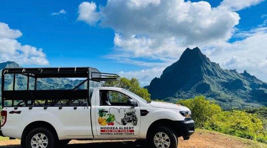 ALBERT TOURS: Excursion 4x4 safari with private SWING view point