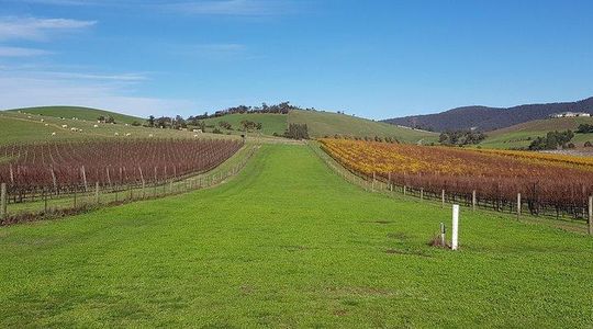 Luxury Private & Customised Yarra Valley Wine Tour