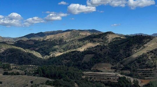Full Day Guided Experience in Priorat