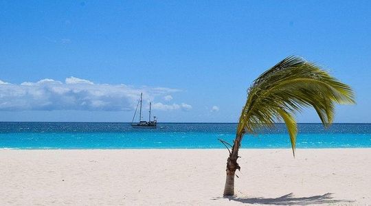Barbados Island Highlights Half-Day Tour