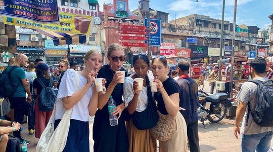 Old Delhi Food Tour with Spice Market, Temples and Rickshaw Ride