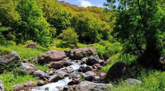 Day trip to Atlas mountains waterfall & Agafay camel Ride experience