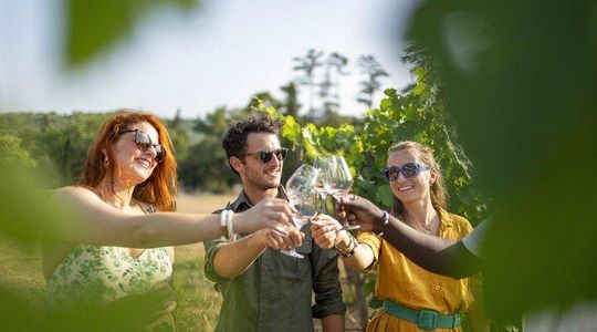 Provence Wine Tour - Small Group Tour from Nice