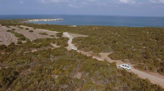 Akamas Jeep Tour from Limassol