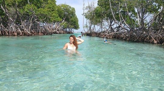 La Parguera Boat Tour