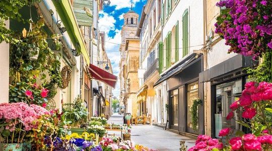 Private Shore Tour: Provence & Camargue Highlights