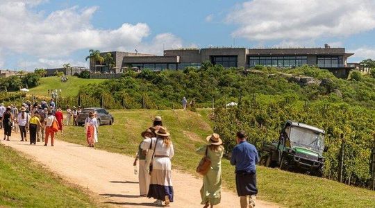 Bodega Garzon Wine Experience with Private Transfer