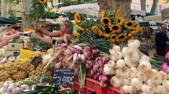Gourmet & Cultural Tour Aix En Provence English / Espanol