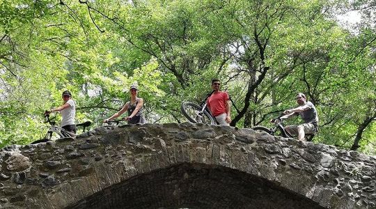 Explore Paphos forest with e-mountain bikes