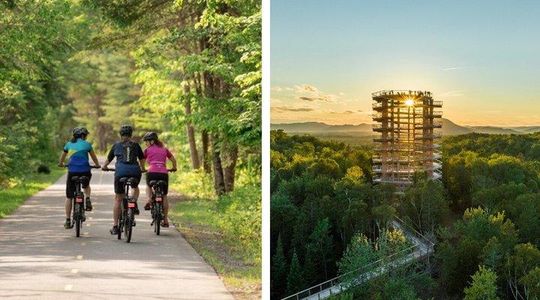 Bike Rentals Treetop Walk Package