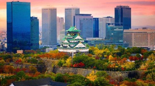 Osaka Private Tour with English Speaking Driver