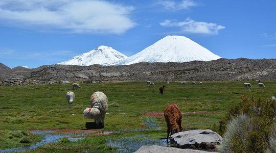 arica and parinacota in 2 days 1 night