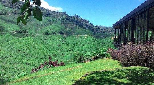 Cameron Highlands 3 Days 2 Night Tours Private (per Vehicle)