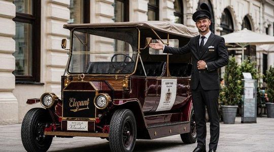 Vienna City Tour with Luxury E Old Timer