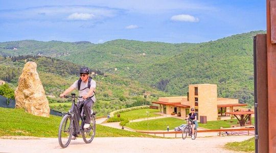 Florence: E-Bike Tour with Olive Oil Tasting or Relax in the Pool