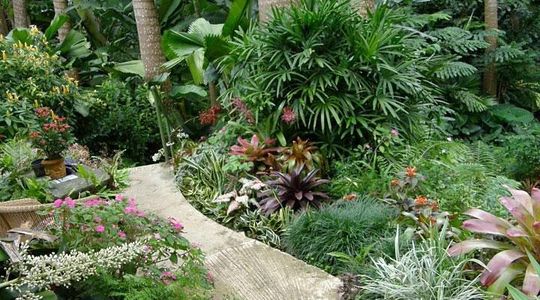 Taste of Barbados