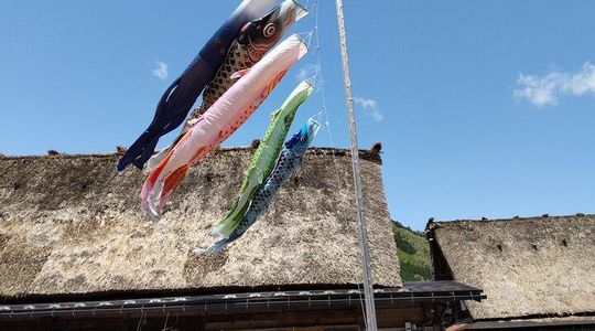[One-day bus tour departing from Kanazawa Station] Shirakawa-go/Takayama tour platinum route bus tour
