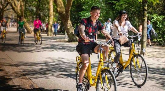 The 1-Hour Amsterdam Bike Tour