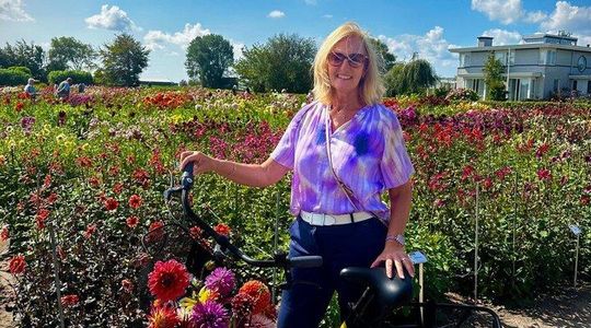 Dahlia Bicycle Tour Exploring Dahlias and Windmills
