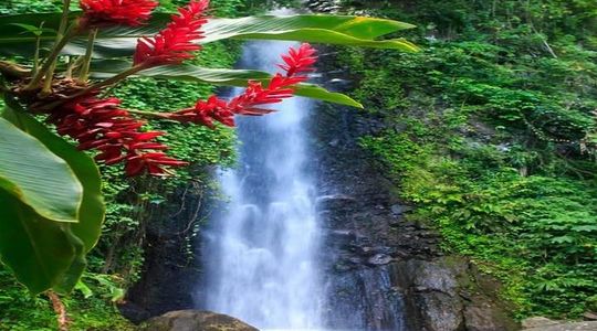 Dark View Falls Tour with Trubb Taxi Tours SVG