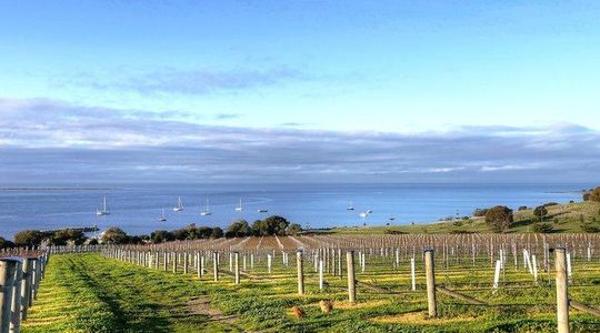 Kangaroo Island Shore Excursion Tasting Tour - For Cruise Ship Passengers Only