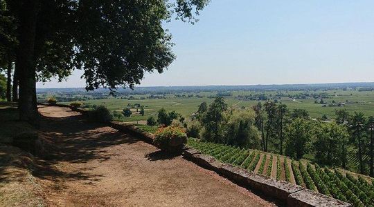 A day in St-Émilion and its Castles in private tour (Van Luxe)