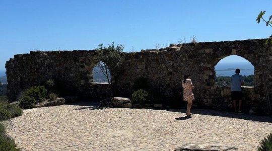 Venos, Bandol and Cassis, Tasting and Provencal Discovery