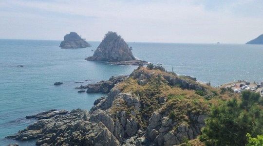 Busan- Private Tour with hidden tourist attractions