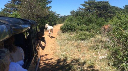 Brač Off Road Tour Hidden Villages Views and Local Stories