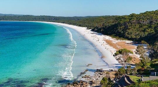 Sydney: Jervis Bay Day Trip with Wild Kangaroos & Beach