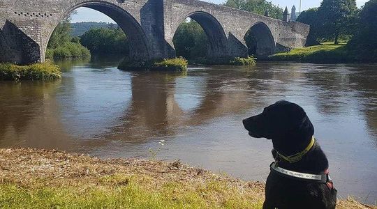 Braveheart (Battle of Stirling Bridge) Tour