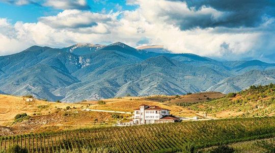 Wine Tasting & More in Villa Melnik – One of the World’s Best Wineries