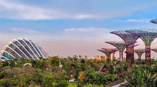 Gardens by the Bay & Marina Bay SkyPark with 2 Way Transfer