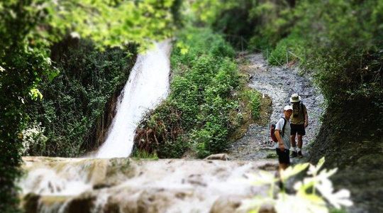 Half-Day River Trekking Stenosia from Kalamata