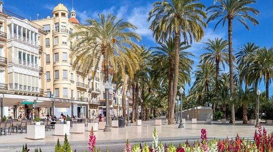 Explore Alicante in 60 minutes with a Local