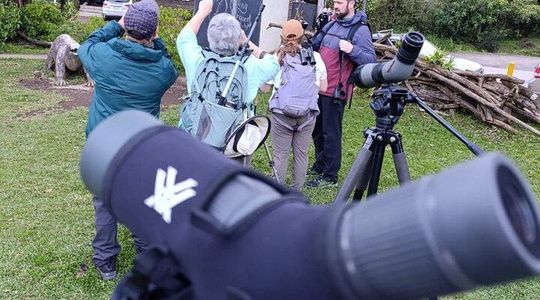 Monteverde Guided Eco Walk – Cloudforest Plants, Birds & Nature